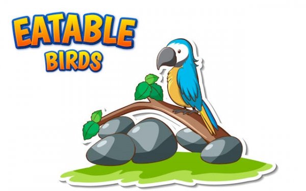 Skyward Avian Escape