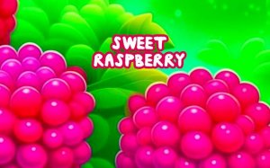 Raspberry Fruit Pop Puzzle