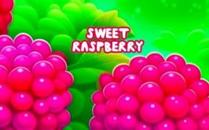 Raspberry Fruit Pop Puzzle