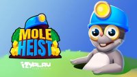 Mole Dig & Decorate Puzzle